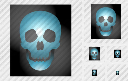 ������ Xray