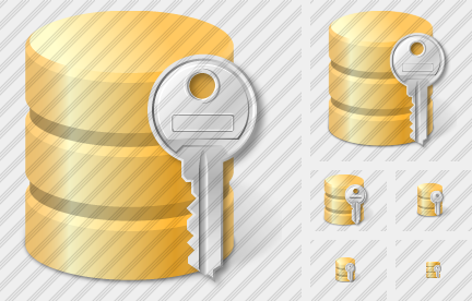 Database Key Icon