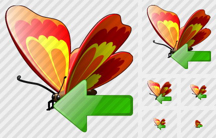Icone Butterfly Importa