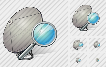 ������ Satellite Plate ������