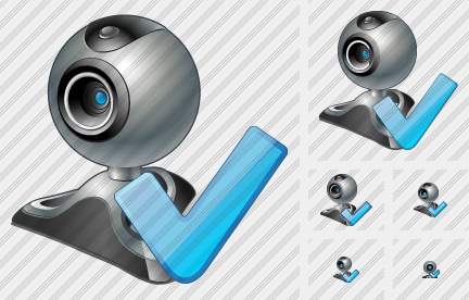 Web Camera OK Icon