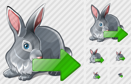 Icone Rabbit Export