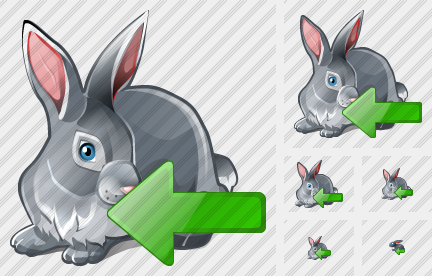 Icone Rabbit Import