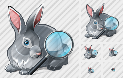 Icone Rabbit Search2