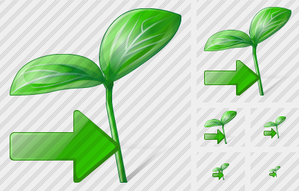 ������ Sprouts Export