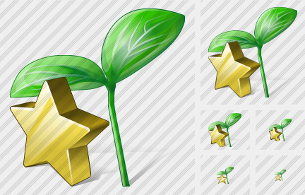 ������ Sprouts Favorite