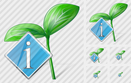 ������ Sprouts Info