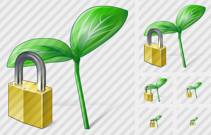 ������ Sprouts Locked