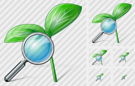 ������ Sprouts Search