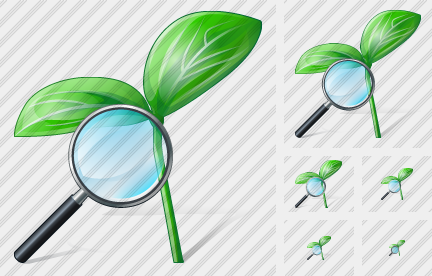 ������ Sprouts Search2