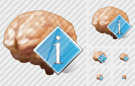 ������ Brain Info