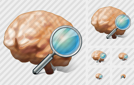 ������ Brain Search