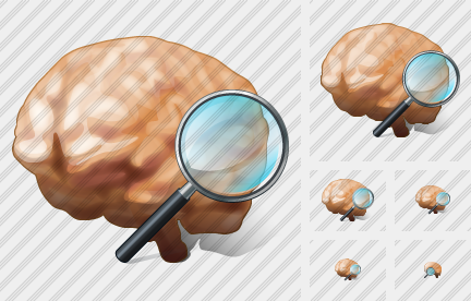 ������ Brain Search2