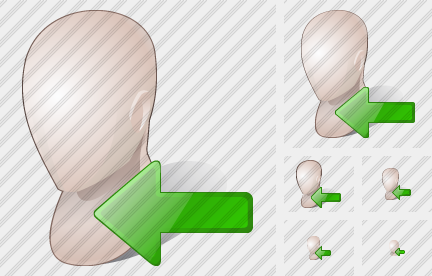 ������ Head Import