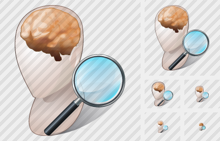 Head2 Search2 Icon