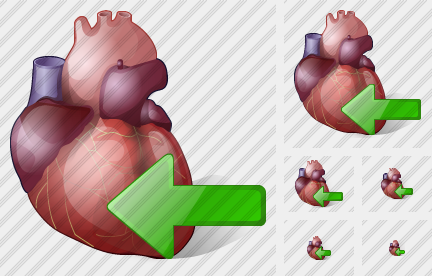 Icone Heart Import