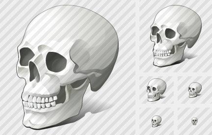 ������ Skull