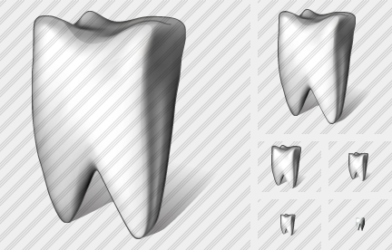 ������ Tooth