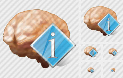 Brain Info Icon