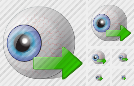 Eye Export Icon