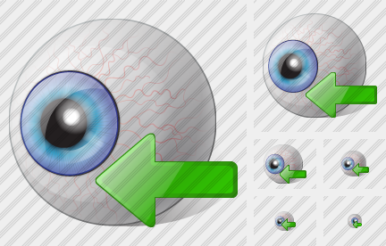 Eye Import Icon