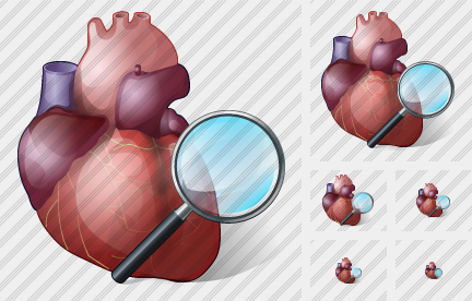 Heart Search 2 Icon