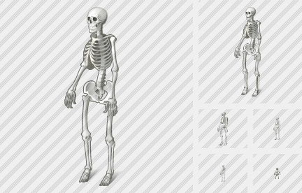 Icone Skeleton