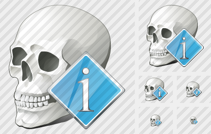 Icone Skull Info