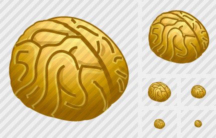 ������ Brain
