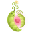 Peas Heart Icon