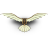 Da Vinci Flying Machine Icon