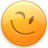 Wink Icon 48px png