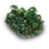 Grassy Stone Icon 72px png