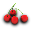 Cherries Icon icon