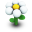 White Daisy Icon 32px png