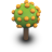 Orange Tree Icon