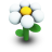 White Daisy Icon 24px png