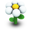 White Daisy Icon 64px png