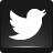 Twitter 4 Icon icon