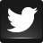 Twitter 4 Icon