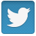 Twitter Pressed Icon icon