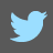 Twitter Grey Icon 48px png