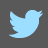 Twitter Grey Icon