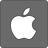 Apple Icon