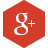 Google Plus Icon