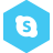 Skype Icon