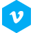 Vimeo Icon