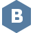 VKontakte Icon