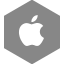 Apple Icon 64px png