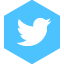Twitter Icon 64px png